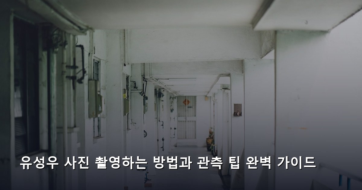 유성우 사진 촬영하는 방법과 관측 팁 완벽 가이드